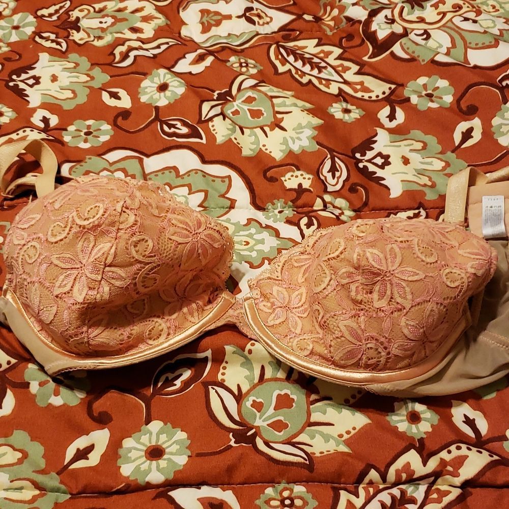 38D bra